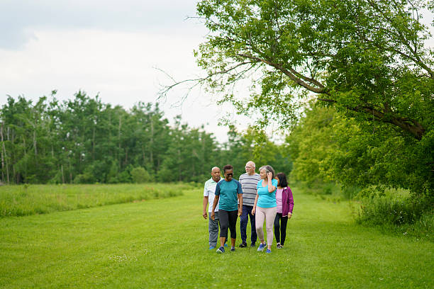 Park met bomen en gazon