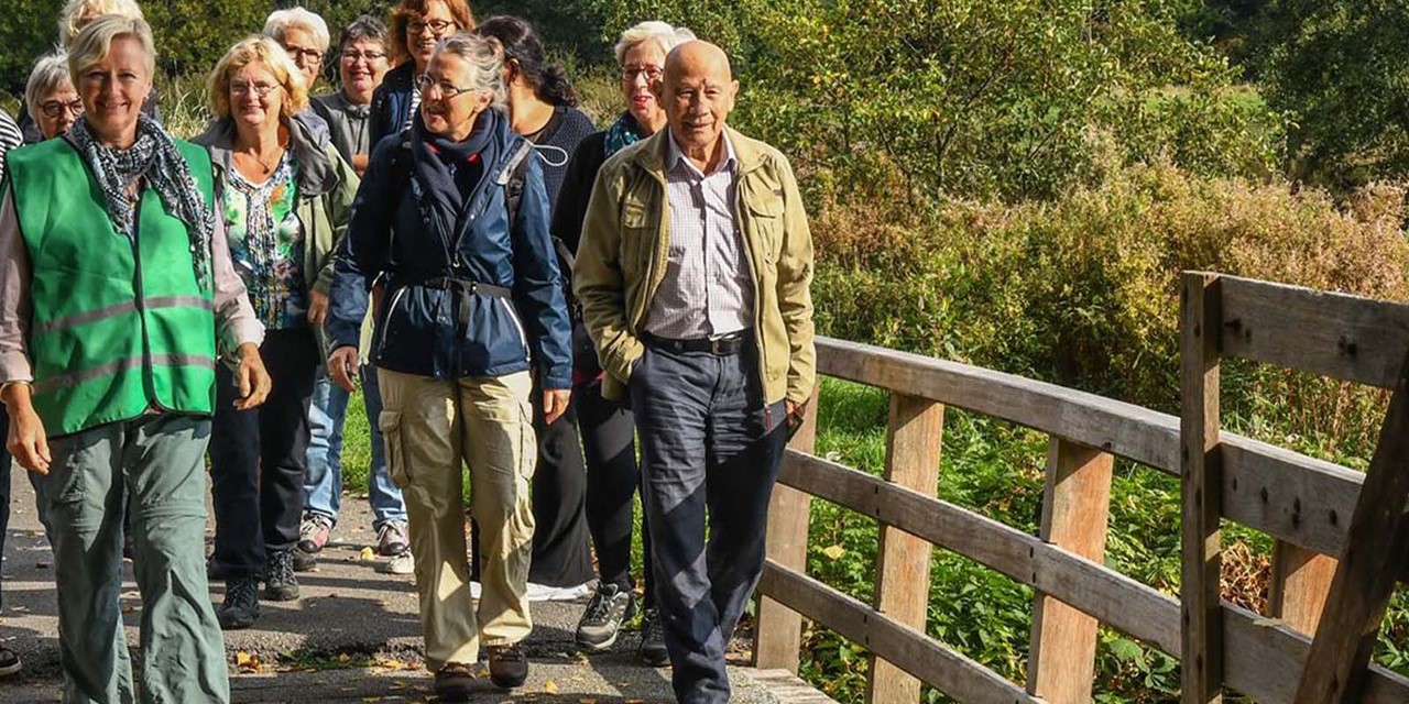 Groene omgeving langs een wandelpad