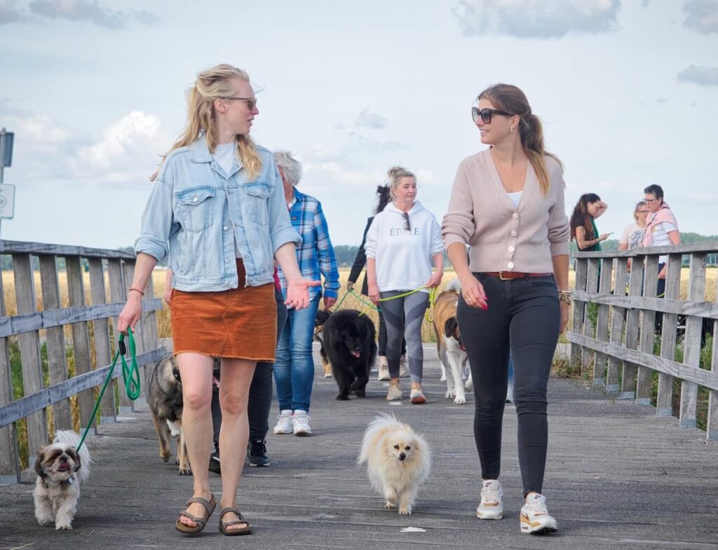 Natuurlijk pad en groene omgeving