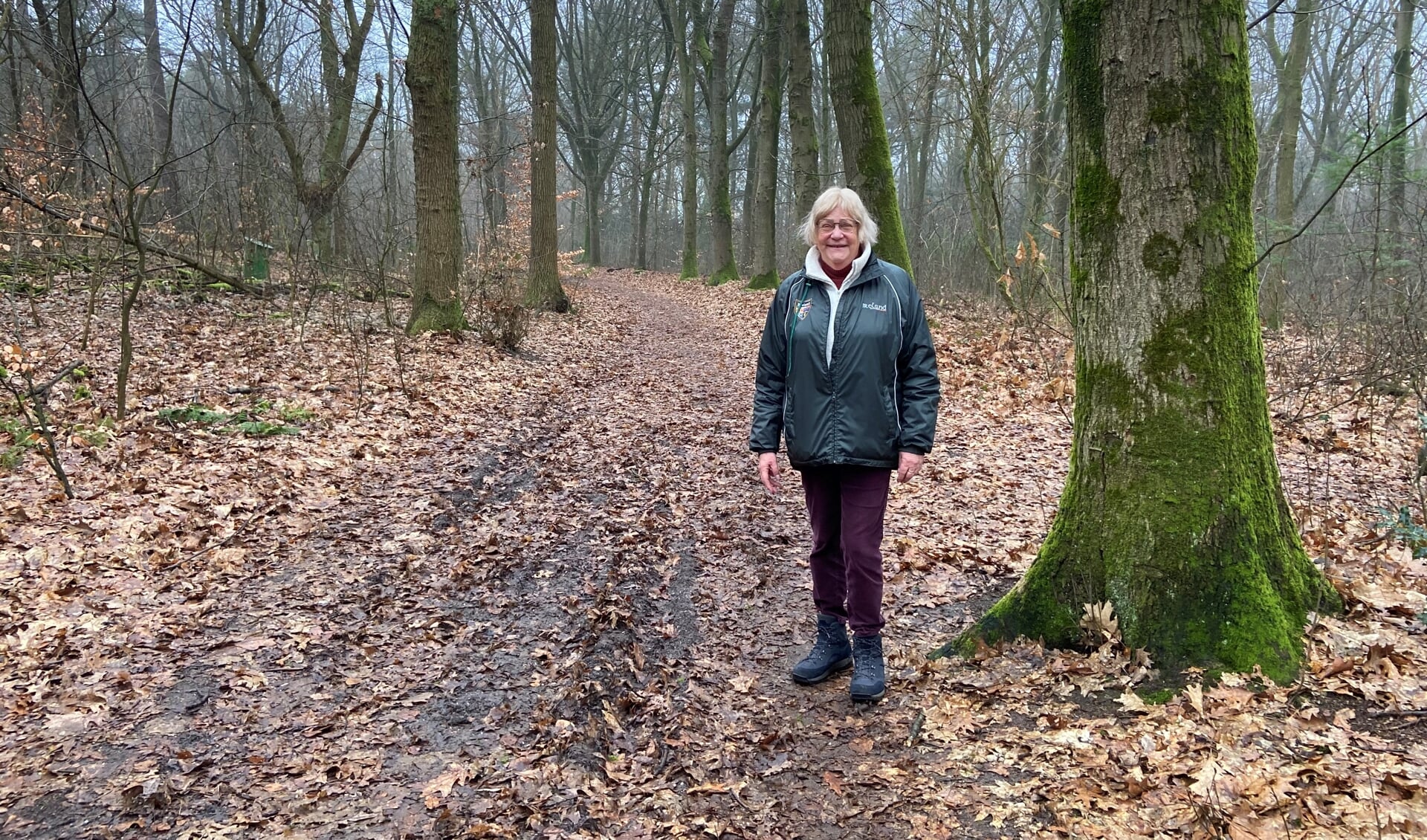 Huis en tuin in groene omgeving