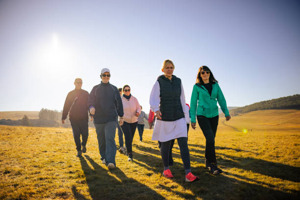 Groene omgeving met wandelpad en duidelijke route